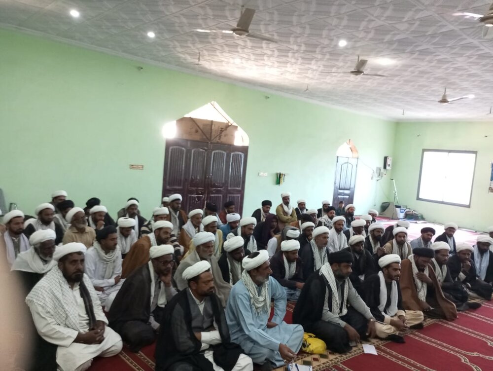 پنجاب میں مجلسِ علماء امامیہ پاکستان کے زیرِ اہتمام علمی و تربیتی ورکشاپ کا انعقاد