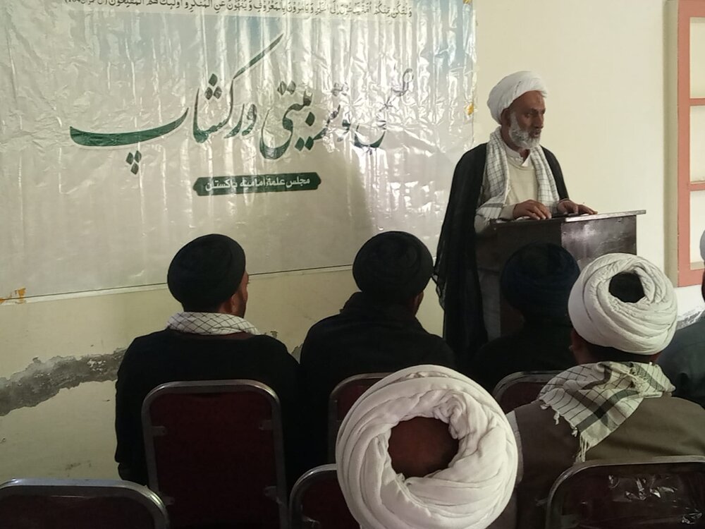 پنجاب میں مجلسِ امامیہ پاکستان کی جانب سے ورکشاپ کا انعقاد/علماء کا اہم موضوعات پر خطاب