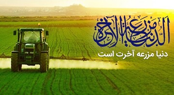 آیات زندگی‌ساز | کشاورزی در مزرعه دنیا؛ تواضع بکارید، سعادت برداشت کنید