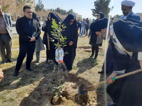 کاشت درخت توسط امام جمعه کاشان در دانشگاه علوم پزشکی کاشان
