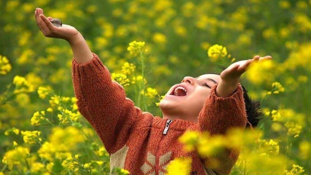 تشویق و تحسین، بال‌های پرواز فرزندتان
