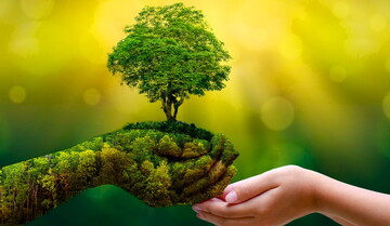 نگاه اهل‌بیت (ع) به درختکاری چگونه است؟