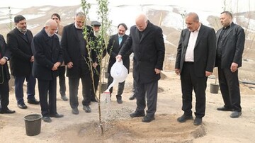 قالیباف یک اصله نهال مثمر را در شرق شهر تهران غرس کرد