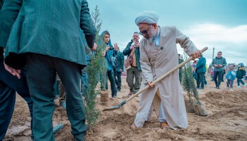 درختکاری به فرهنگ عمومی تبدیل شود