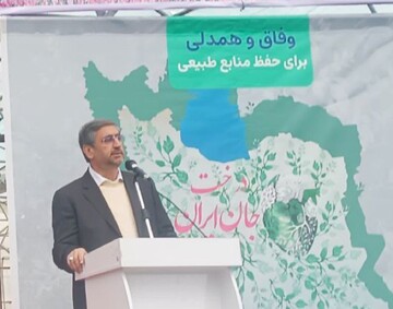 کاشت درخت یک سرمایه‌گذاری بسیار ارزشمند است