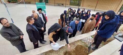 تصاویر/ کاشت درخت توسط امام جمعه کاشان در دبیرستان دخترانه حاج جعفریزدانیان