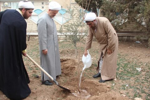 تصاویر /کاشت درخت توسط مدیر حوزه علمیه استان قزوین به مناسبت روز درختکاری
