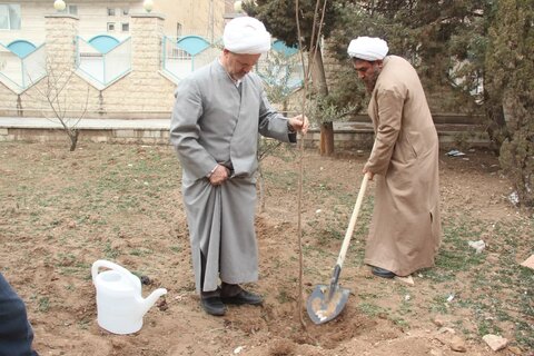 تصاویر /کاشت درخت توسط مدیر حوزه علمیه استان قزوین به مناسبت روز درختکاری