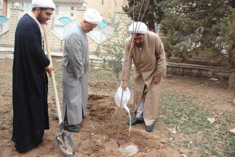 تصاویر /کاشت درخت توسط مدیر حوزه علمیه استان قزوین به مناسبت روز درختکاری
