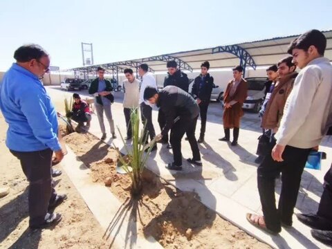 آئین غرس درخت