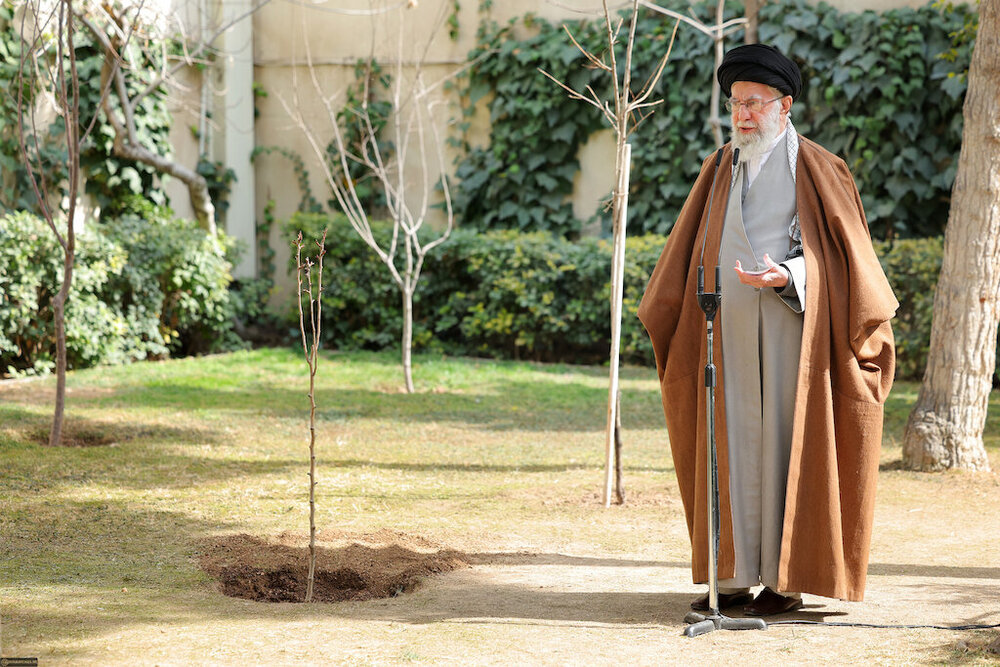 Planter des arbres est un acte vertueux