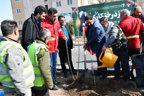 تصاویر/ کاشت نهال توسط امام جمعه خوی