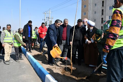 تصاویر/ کاشت نهال توسط امام جمعه خوی