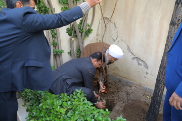 تصاویر / کاشت نهال توسط آیت الله العظمی جوادی آملی در هفته درختکاری