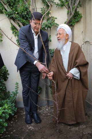 تصاویر / کاشت نهال توسط آیت الله العظمی جوادی آملی در هفته درختکاری