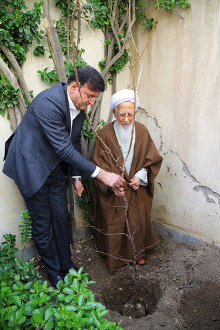 تصاویر / کاشت نهال توسط آیت الله العظمی جوادی آملی در هفته درختکاری