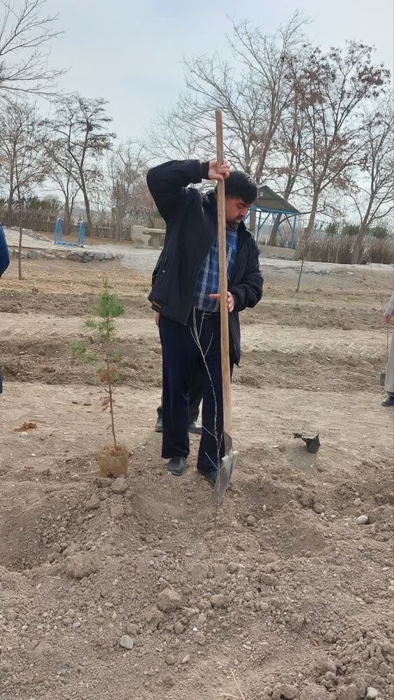 کاشت نهال درخت در اردوگاه شهید مدرس حوزه علمیه اصفهان + عکس