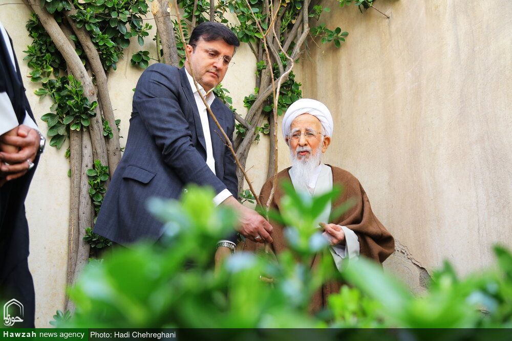 Photos/Plantation d'arbres par l'Ayatollah Javadi Amali à l'occasion de la Journée nationale de l'arbre