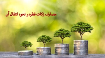 راهنمای رمضان | مصارف زکات فطره و نحوه انتقال آن