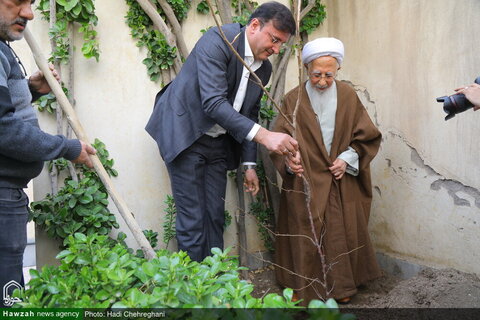 Photos/Plantation d'arbres par l'Ayatollah Javadi Amali à l'occasion de la Journée nationale de l'arbre