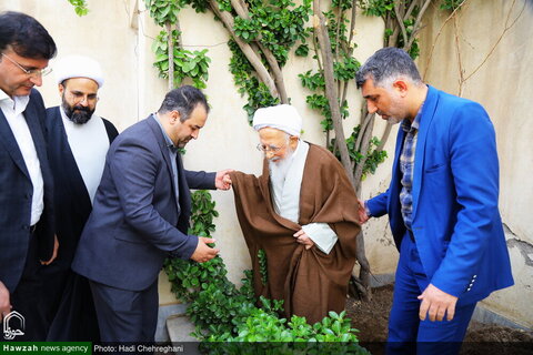 Photos/Plantation d'arbres par l'Ayatollah Javadi Amali à l'occasion de la Journée nationale de l'arbre