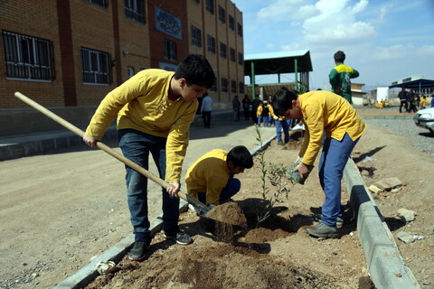 تصاویر/ مراسم درخت کاری
