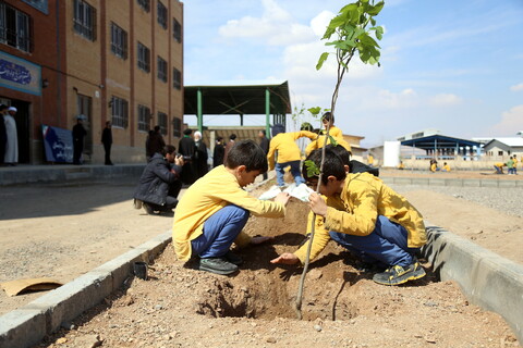 تصاویر/ مراسم درخت کاری