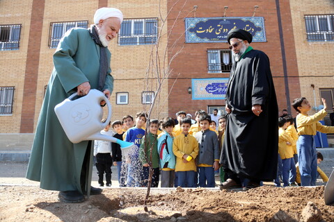 تصاویر/ مراسم درخت کاری