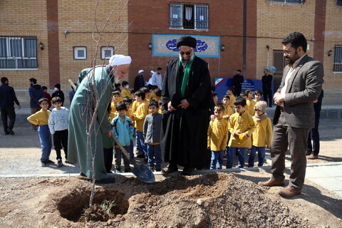 تصاویر/ مراسم درخت کاری