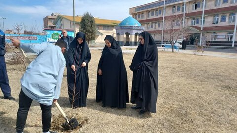 کاشت نهال به یاد شهدا در مدرسه علمیه امام علی (ع) سلماس + تصاویر