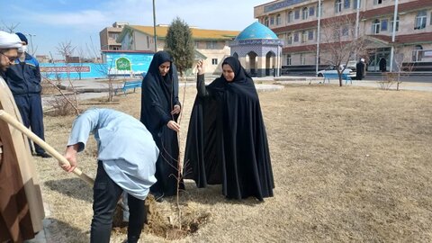 کاشت نهال به یاد شهدا در مدرسه علمیه امام علی (ع) سلماس + تصاویر