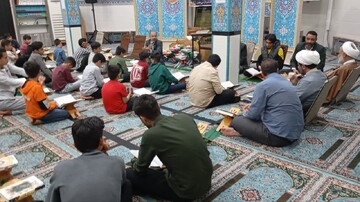 تصاویر/ ترتیل خوانی قرآن کریم در مساجد دشتستان