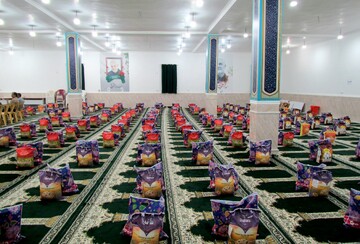 تصاویر/ توزیع بسته‌های معیشتی رمضان در بندر دیّر