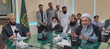 نایب رئیس شورای علمای شیعه پاکستان: اسلام دین صلح و همبستگی است