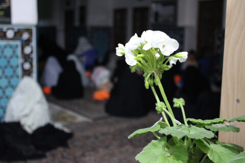 تصاویر مراسم شب احیا شب ۲۳ ماه مبارک رمضان در شهر جوپار