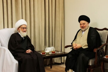 دیدار نماینده آیت‌الله العظمی سیستانی با آیت‌الله العظمی نوری‌همدانی + عکس