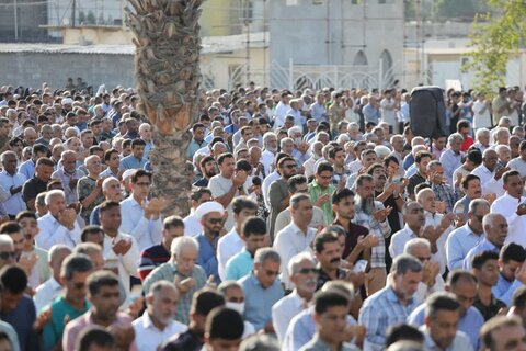 تصاویر/ نماز عید فطر در بندرعباس