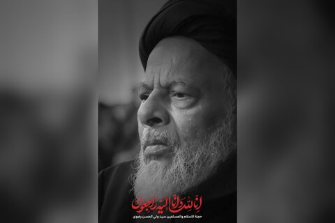 مولانا سید ولی الحسن رضوی، ایک درخشاں ستارہ، جو غروب ہو کر بھی روشن رہے گا، مولانا  عادل منظور