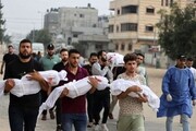 مركز إدارة الحوزات العلمية: الفكر الجاني الذي هدم قبور البقيع بالأمس يسفك دماء الأطفال والنساء في غزة اليوم