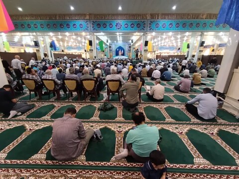 نماز جمعه بوشهر به روایت تصویر