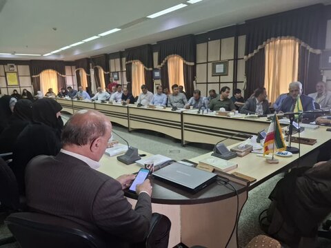 تصاویر/ همایش یاوران حج تمتع در کاشان