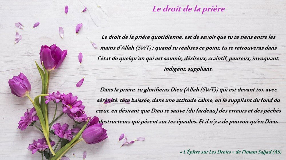 Intégrer l’éthique au quotidien avec l’Épître sur Les Droits de l’Imam Sajjad (as) (partie 13)