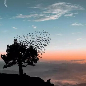 ژورنالیسم اندیشه و الزامات جامعه امروز