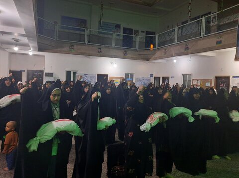 ندای استغاثه بانوان برازجانی در حمایت از مردم غزه
