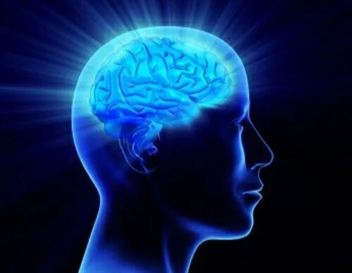अल्लाह ने अक़्ल को अपनी सबसे प्यारी मखलूक क्यों करार दिया? अल्लाह ने अक़्ल को अपनी सबसे प्यारी मखलूक क्यों करार दिया?