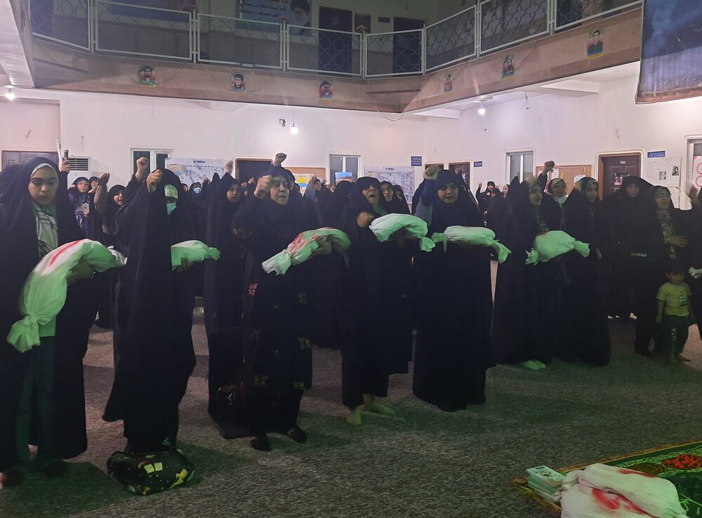 تصاویر/ ندای استغاثه بانوان برازجانی در حمایت از مردم غزه