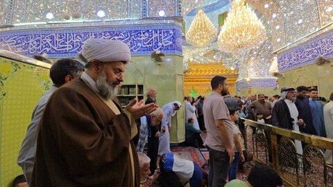 تصاویر/ کاروان آدینه حسینی ستاد نمازجمعه خورموج در کربلا