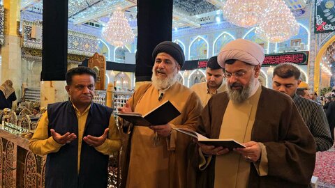 تصاویر/ کاروان آدینه حسینی ستاد نمازجمعه خورموج در کربلا