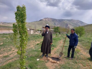 تصاویر/ اجرای طرح های عمرانی و درختکاری در بقاع متبرکه لرستان