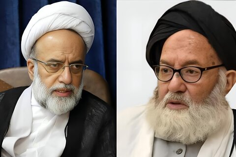 علامہ سید محمد باقر موسوی کے انتقال پر سابق نمائندہ ولی فقیہ ہندوستان کا اظہارِ تعزیت